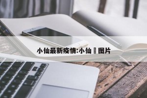 小仙最新疫情:小仙鹟图片