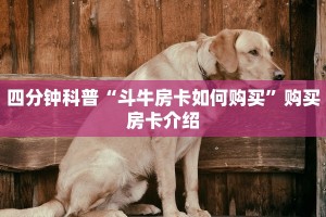 玩家必看教程“微信群牛牛房卡购买”详细房卡怎么购买教程
