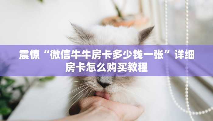 2分钟教程"微信金花房卡在哪里充”获取房卡怎么购买教程