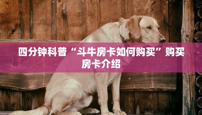 玩家必看教程“微信群牛牛房卡购买”详细房卡怎么购买教程