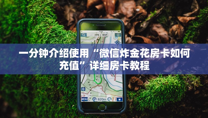 一分钟介绍使用“微信炸金花房卡如何充值”详细房卡教程